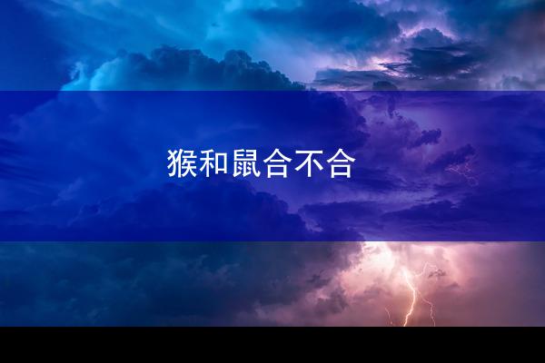 猴和鼠合不合