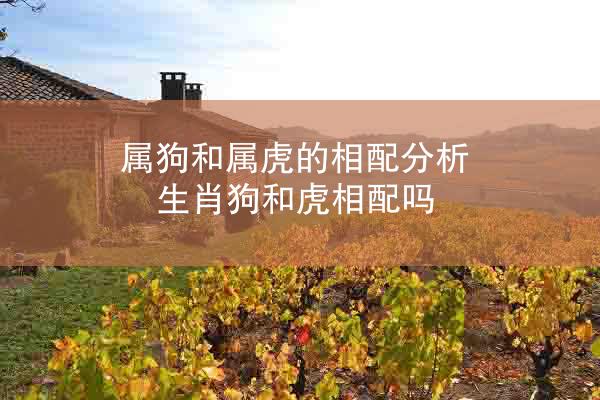 属狗和属虎的相配分析 生肖狗和虎相配吗