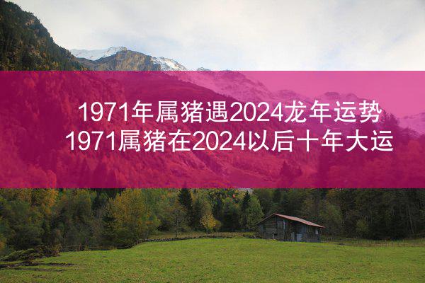 1971年属猪遇2024龙年运势 1971属猪在2024以后十年大运