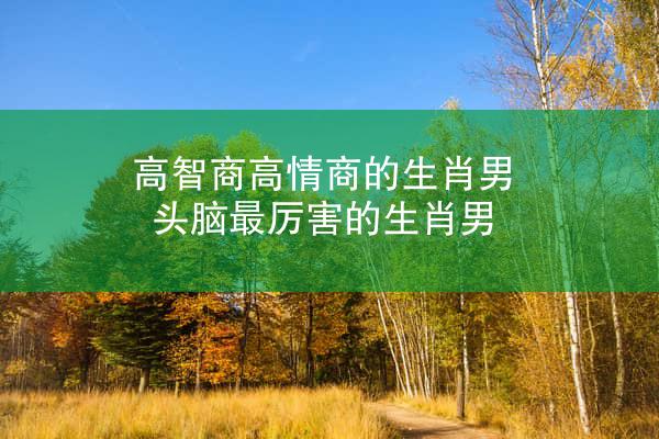 高智商高情商的生肖男 头脑最厉害的生肖男
