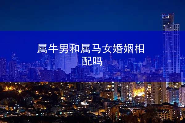属牛男和属马女婚姻相配吗