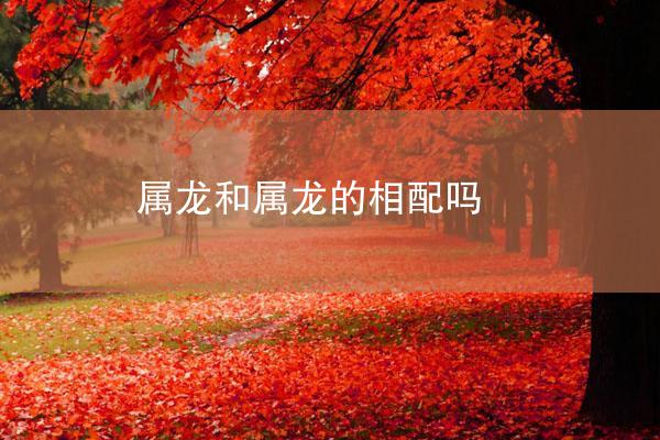 属龙和属龙的相配吗