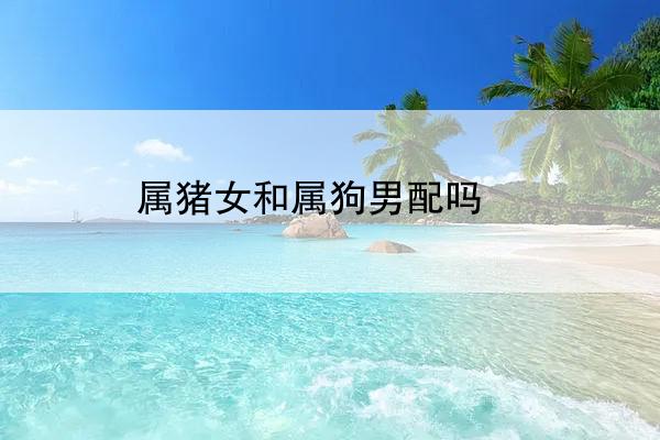 属猪女和属狗男配吗