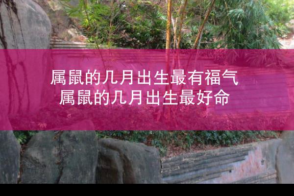 属鼠的几月出生最有福气 属鼠的几月出生最好命
