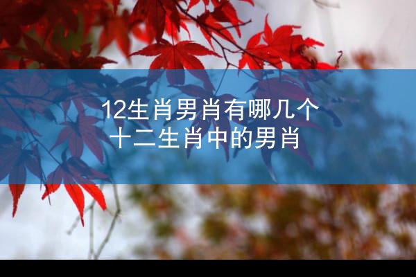 12生肖男肖有哪几个 十二生肖中的男肖