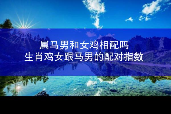 属马男和女鸡相配吗 生肖鸡女跟马男的配对指数