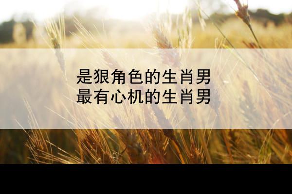 是狠角色的生肖男 最有心机的生肖男