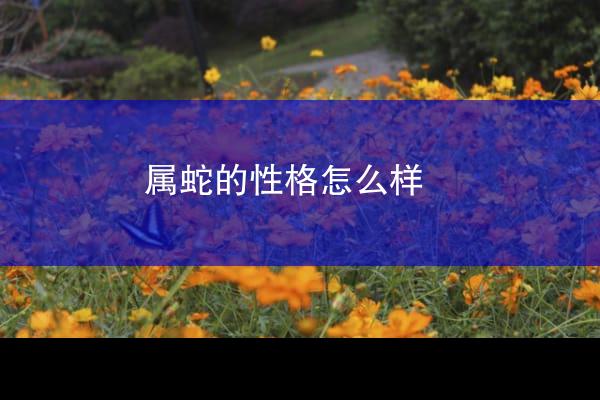 属蛇的性格怎么样