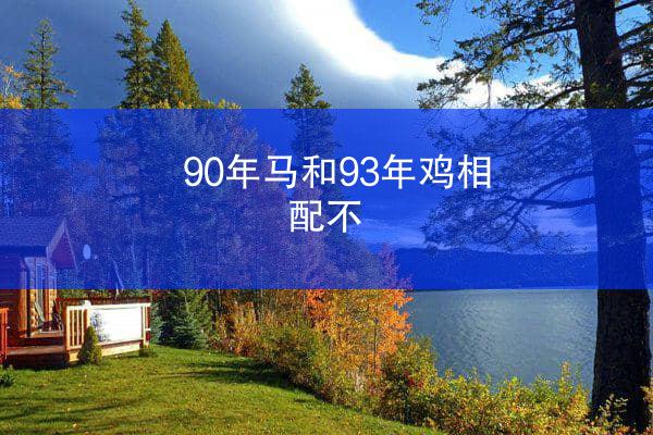 90年马和93年鸡相配不