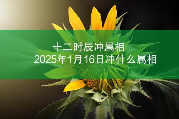 十二时辰冲属相 2025年1月16日冲什么属相