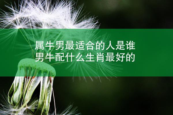 属牛男最适合的人是谁 男牛配什么生肖最好的