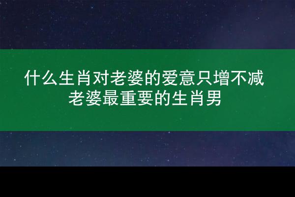 什么生肖对老婆的爱意只增不减 老婆最重要的生肖男