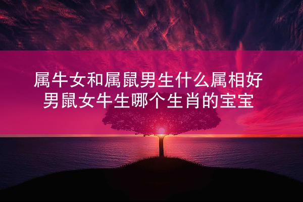 属牛女和属鼠男生什么属相好 男鼠女牛生哪个生肖的宝宝