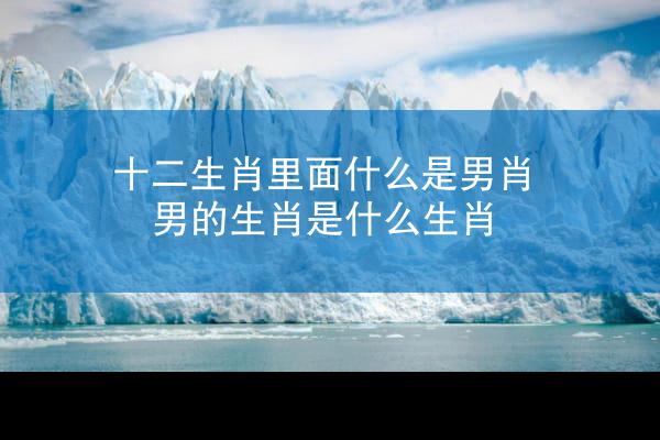 十二生肖里面什么是男肖 男的生肖是什么生肖