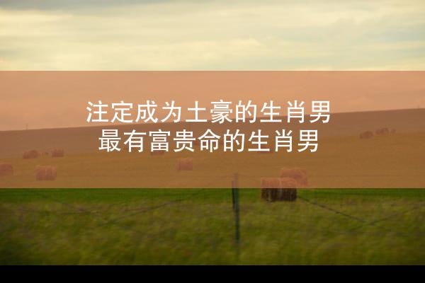 注定成为土豪的生肖男 最有富贵命的生肖男