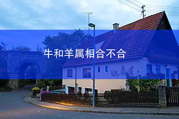 牛和羊属相合不合