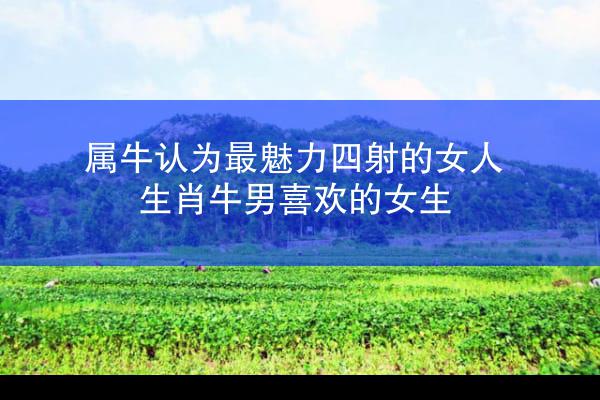 属牛认为最魅力四射的女人 生肖牛男喜欢的女生