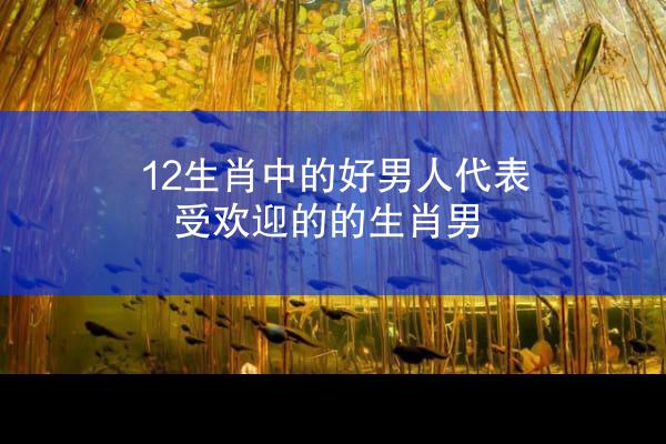 12生肖中的好男人代表 受欢迎的的生肖男