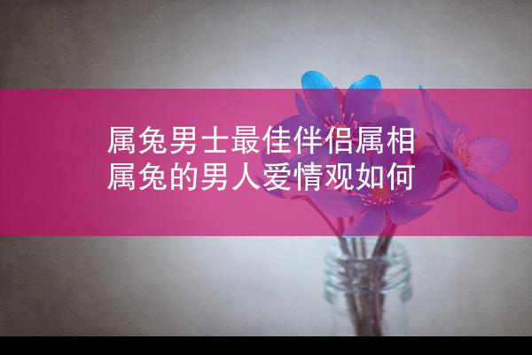 属兔男士最佳伴侣属相 属兔的男人爱情观如何