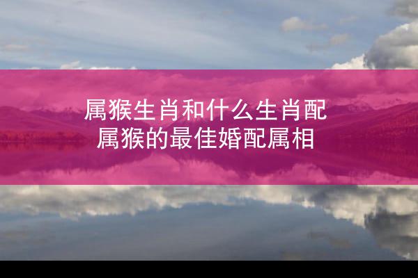 属猴生肖和什么生肖配 属猴的最佳婚配属相