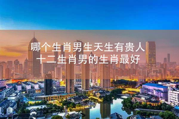哪个生肖男生天生有贵人 十二生肖男的生肖最好