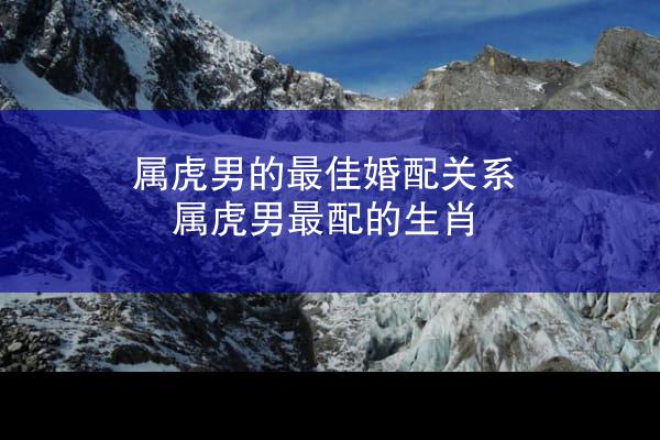 属虎男的最佳婚配关系 属虎男最配的生肖