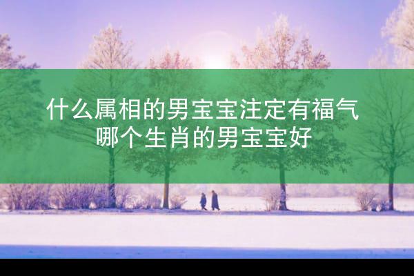 什么属相的男宝宝注定有福气 哪个生肖的男宝宝好