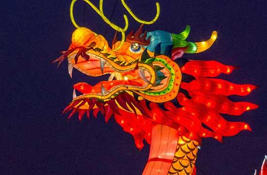 88年女龙一生有几次婚姻